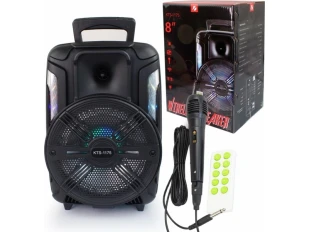 Boxă karaoke wireless de 8 inch cu microfon și telecomandă KTS-1175