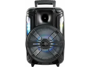 Boxă karaoke wireless de 8 inch cu microfon și telecomandă KTS-1175