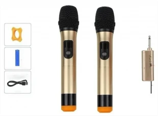 Set de 2 microfoane wireless cu afișaj WVNGR WG-200II