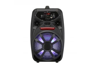 Boxă karaoke Bluetooth portabilă PK-09 cu radio FM, MP3 și microfon wireless