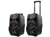 Boxă karaoke Bluetooth portabilă PK-09 cu radio FM, MP3 și microfon wireless