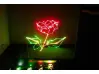 Laser disco SD01RG