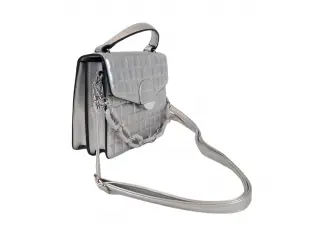 Geantă mică argintie - Barina