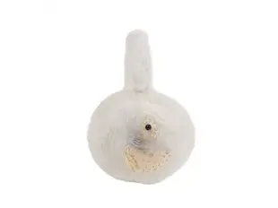 Căști albe pentru urechi pentru copii - Lady