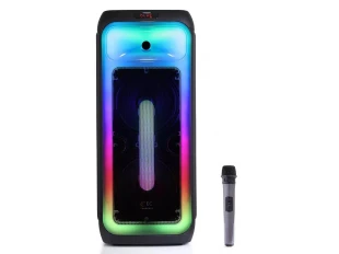 Boxă cu lumini karaoke WVNGR DR-1028 2x10,5 inci