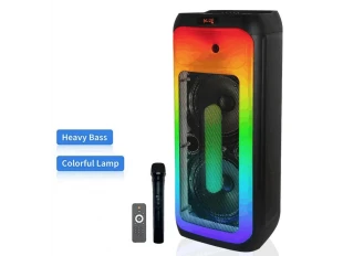 Boxă cu lumini karaoke WVNGR DR-1028 2x10,5 inci