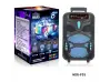 Boxă karaoke cu Bluetooth NDR-P55 8'' și microfon