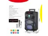 Boxă karaoke cu Bluetooth NDR-P55 8'' și microfon