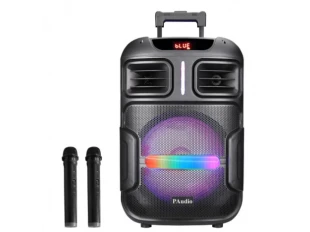 Boxă karaoke cu lumini WVNGR BT-1200 12 inci
