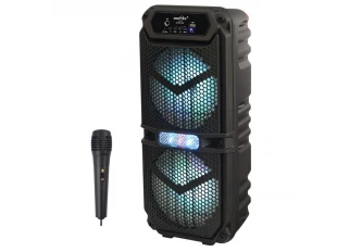 Boxă karaoke Greatnice GTS-2148 2x6.5" - Bluetooth, Radio, Baterie și microfon cu fir