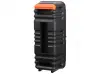 Boxă karaoke Greatnice GTS-2148 2x6.5" - Bluetooth, Radio, Baterie și microfon cu fir
