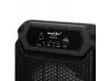Boxă karaoke Greatnice GTS-2148 2x6.5" - Bluetooth, Radio, Baterie și microfon cu fir