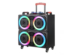Boxă karaoke iluminată WVNGR-8888 cu 10x20 cm