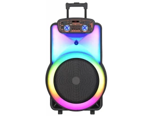 Boxă karaoke iluminată WVNGR BT-1218 12 inci