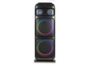 Boxă karaoke profesională iluminată 2x12 inci WVNGR WGY-1222